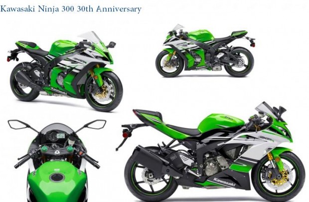 Kawasaki Ninja 300 30th Anniversary images