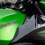 Kawasaki Z300- Z800 Test as Mini in Everyone Approach