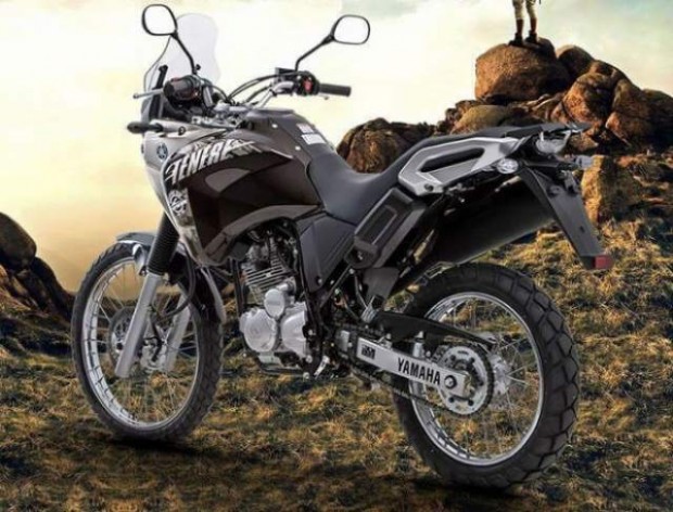 2016 Yamaha Tenere 250 Blueflex Motorcycles